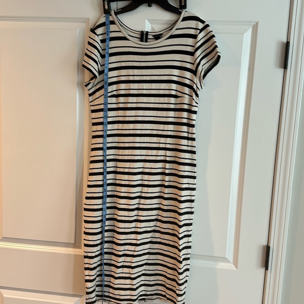 Ann Taylor L zipper in back